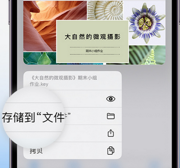 张北apple维修中心分享iPhone文件应用中存储和找到下载文件