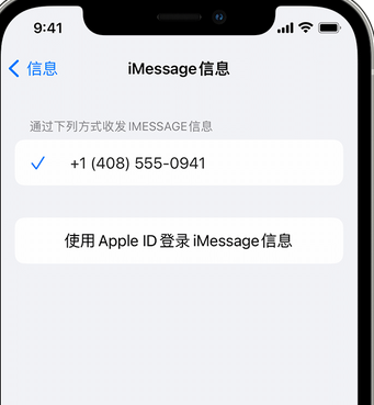 张北apple维修iPhone上无法正常发送iMessage信息 