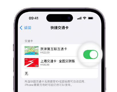 张北apple维修点分享iPhone上更换Apple Pay快捷交通卡手绘卡面 