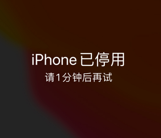 张北苹果手机维修分享:iPhone 显示“不可用”或“已停用”怎么办？还能保留数据吗？ 