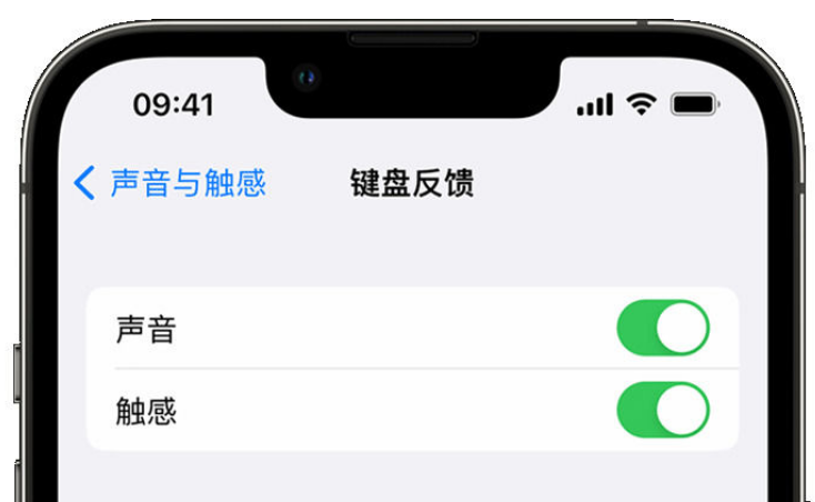 张北苹果手机维修分享iPhone 14触感键盘使用方法 