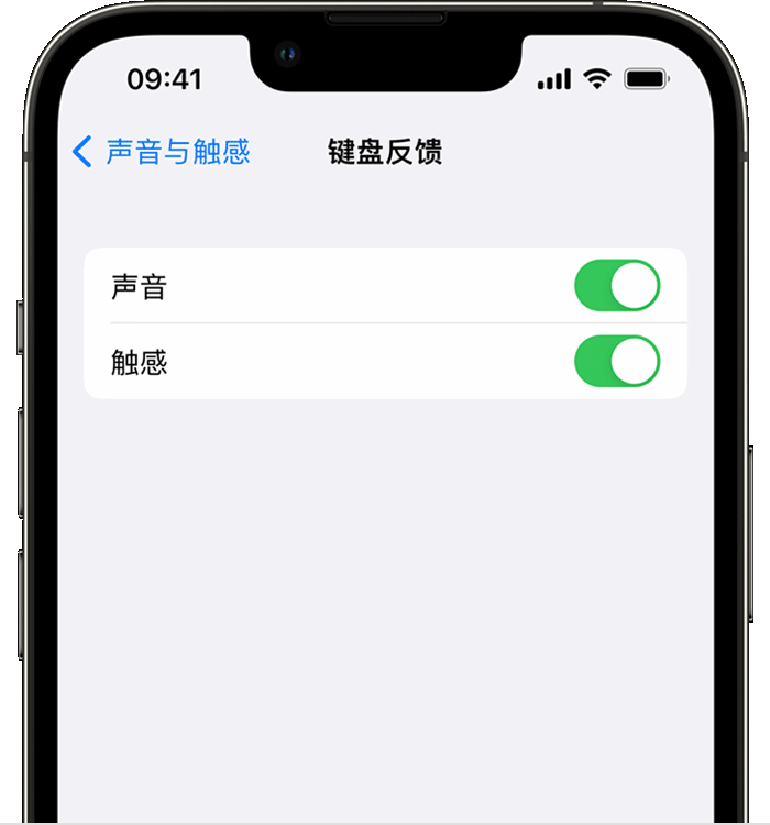 张北苹果14维修店分享如何在 iPhone 14 机型中使用触感键盘 