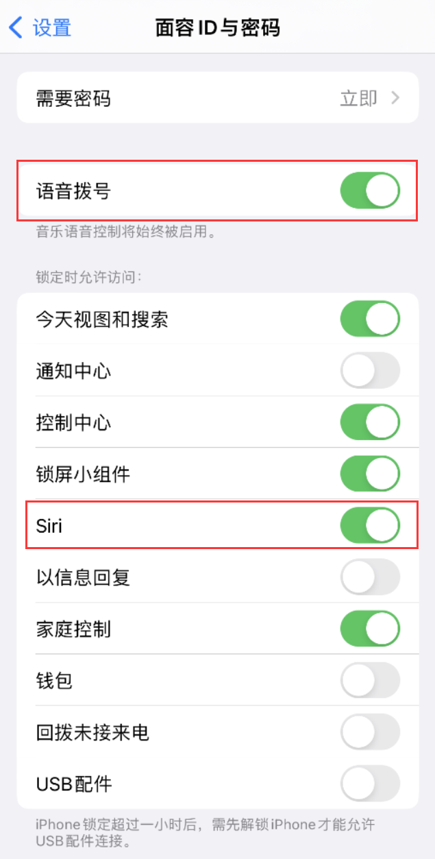 张北苹果维修网点分享不解锁 iPhone 的情况下通过 Siri 拨打电话的方法 