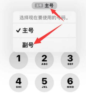 张北苹果14维修店分享iPhone 14 Pro Max使用副卡打电话的方法 