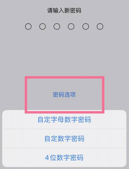 张北苹果14维修分享iPhone 14plus设置密码的方法 