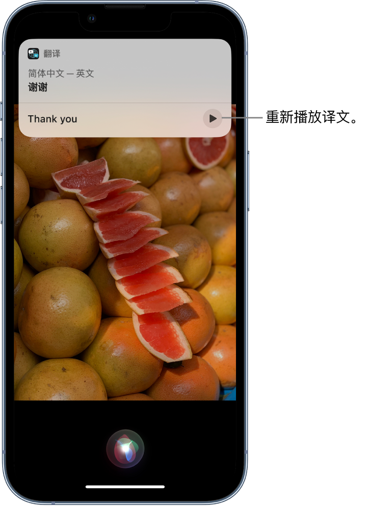 张北苹果14维修分享 iPhone 14 机型中使用 Siri：了解 Siri 能帮你做什么 