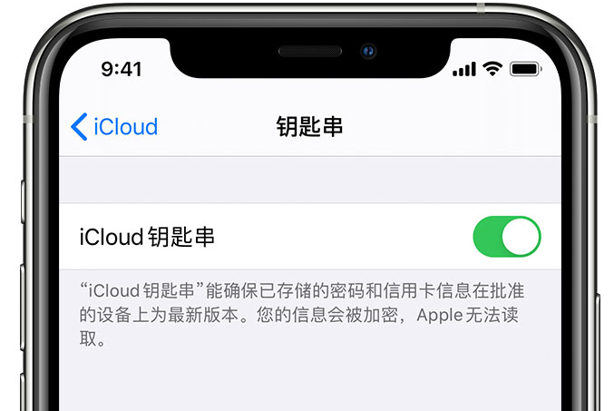 张北苹果手机维修分享在 iPhone 上开启 iCloud 钥匙串之后会储存哪些信息 