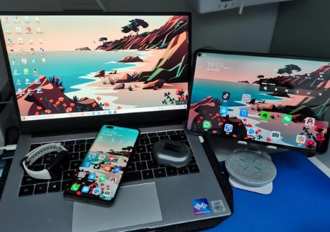 张北苹果手机维修分享为什么iPad屏幕更大价格却比iPhone低 