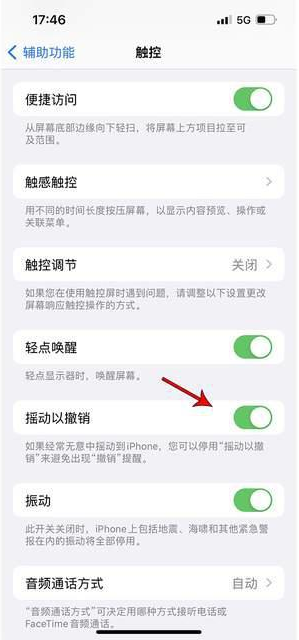 张北苹果手机维修分享iPhone手机如何设置摇一摇删除文字 